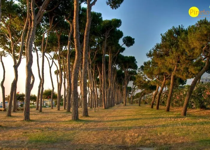 Caterina A4 - Pineto